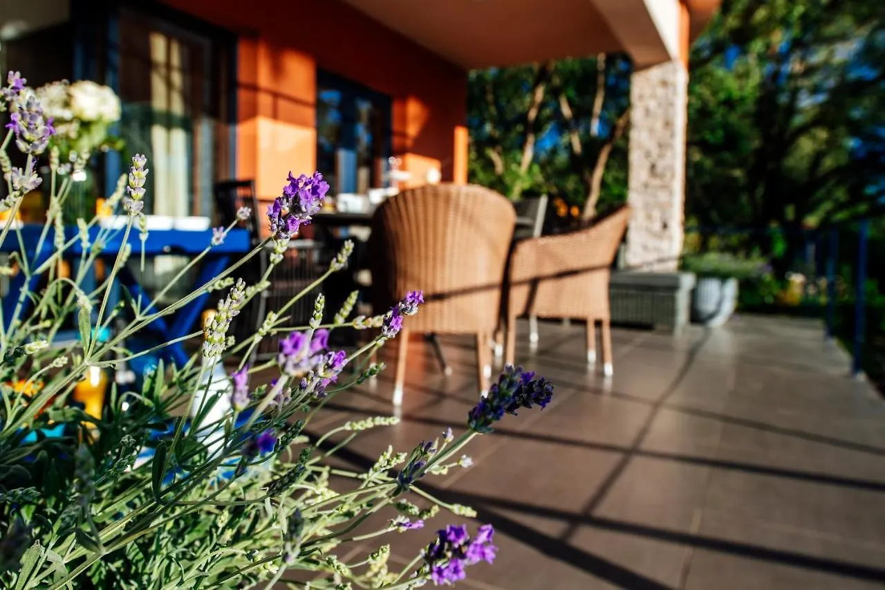 Apartment Serenity With Private Pool Near The Beach Poljana  Poljana (Ugljan)